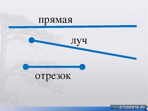 Что такое прямая в математике?