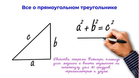 Что такое прямоугольный треугольник и его особенности?