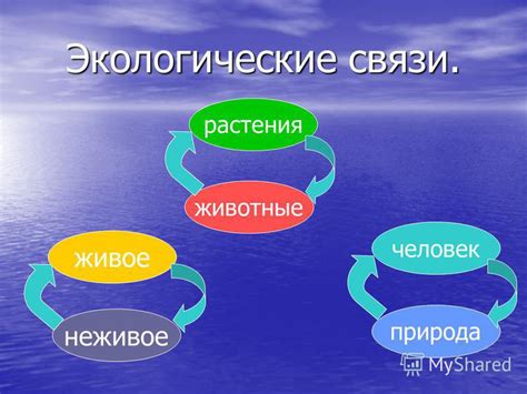 Что такое экологическое равновесие в природе для 3 класса