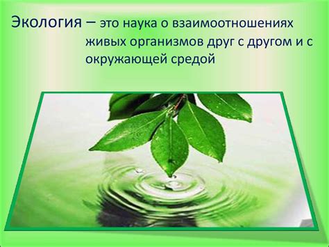 Эколог: анализ взаимодействия организмов и окружающей среды