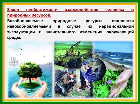 Экологическое сознание и ответственность: роль человека в сохранении природы