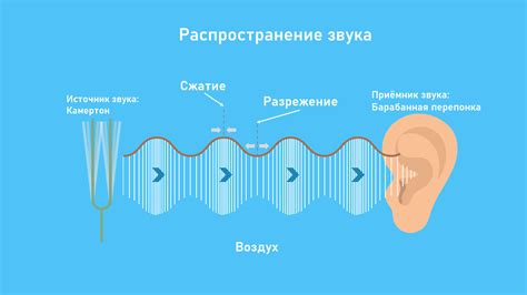 Эстетика и акустические свойства