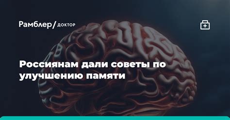 Эффективные методы и советы по улучшению памяти и внимания