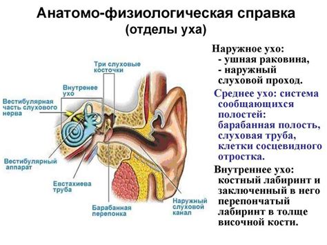 Эффективные методы снятия заложенности уха в домашних условиях