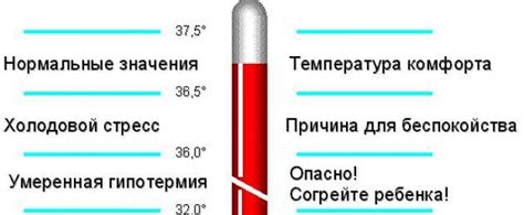 Эффективные способы повышения температуры до 38 градусов