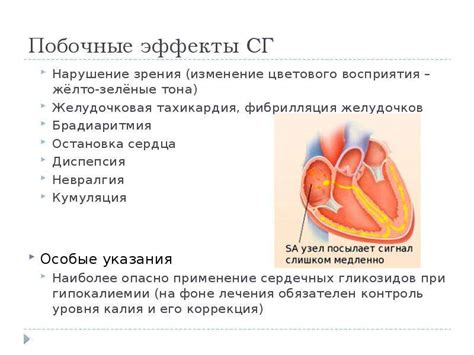 Эффекты повышенного уровня альбумина на сердечно-сосудистую систему