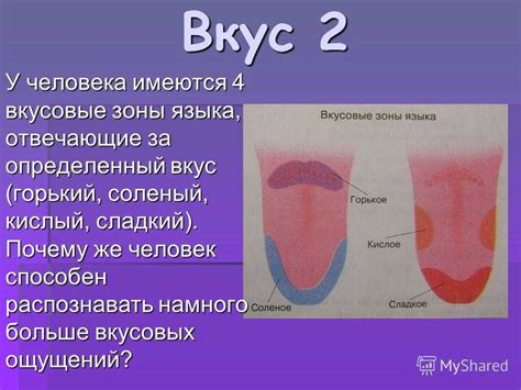 Язык щиплет: почему происходит?