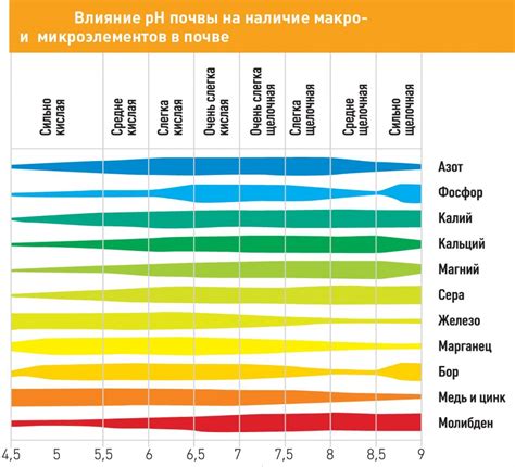  Богатое содержание питательных веществ и микроэлементов 