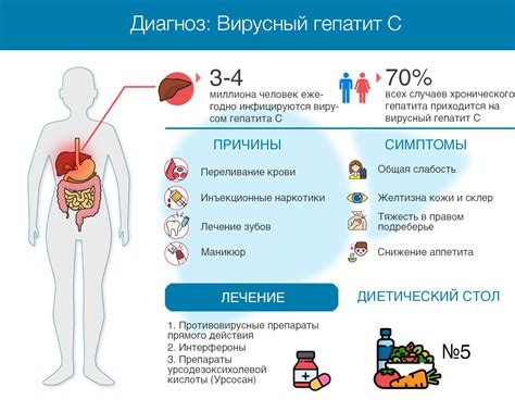  Возможные причины возникновения проблем с кровеносной системой у мужчин после 54 лет 