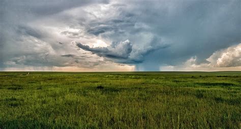  Экономическое значение дождя в засушливых регионах 