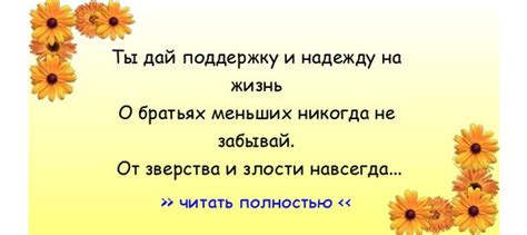 2. Не забывай поддержку