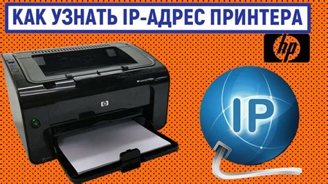 IP-адрес принтера: общая информация